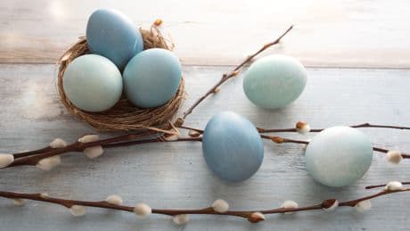 Osterzeit: Auf eine beliebte Dekoration sollten Sie verzichten