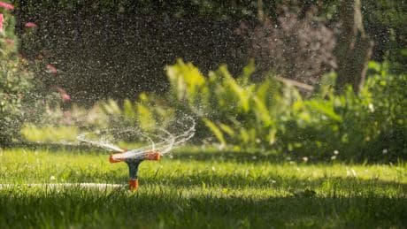 Sommersaison: Bewässerungscomputer für 44 statt 60 Euro: Garten-Angebote am Dienstag