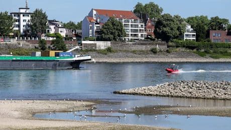 „Solche Bedingungen sind ein Vorgeschmack auf das, was wir für den Rhein erwarten“