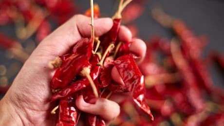 Scoville: Deswegen ist die Chili-Skala fehlerhaft
