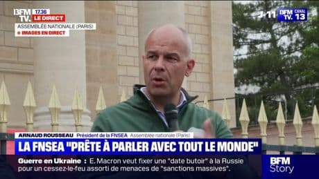 Loi Duplomb: Arnaud Rousseau, président de la FNSEA, dénonce une "bordélisation du débat"