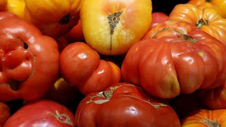 Why Tomatoes Are Becoming a Lot More Expensive