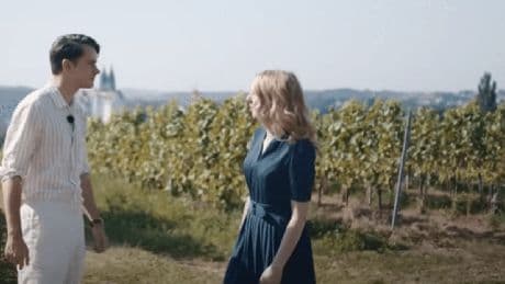AfD dreht Wahlspot auf Weingut Schloss Proschwitz – Besitzer wehren sich