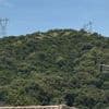 Panne de courant à Cannes et dans les Alpes-Maritimes : plusieurs pylônes ont été sciés sur les communes de Villeneuve-Loubet, Mougins et Cagnes-sur-Mer