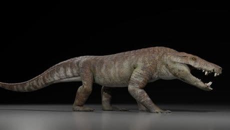 Newly-discovered 'hypercarnivore' ate dinosaurs and is related to crocodiles