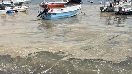 Kabus geri mi dönüyor? Marmara Denizi'nde korkutan görüntü