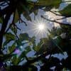 Wetteraussichten: Der Sommer kehrt zurück