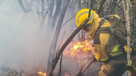 El nuevo convenio de bomberos forestales contempla subidas salariales de hasta el 20% y un límite de 8 horas de trabajo efectivo