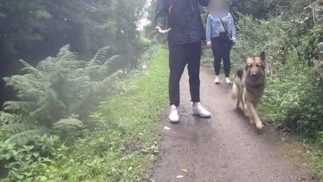 Dog walker who 'pushed cyclist into canal' sets record straight after sparking fury