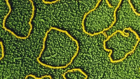 Scientists are Learning to Rewrite the Code of Life