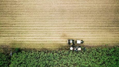 Grüner Wasserstoff aus Zuckermüll: Forscher finden neues Verfahren