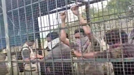 Furious Indian villagers trap forest staff in tiger cage after failure to catch big cat