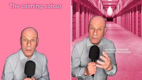 Revealed: The most CALMING colour, according to science - so, do you find it relaxing?