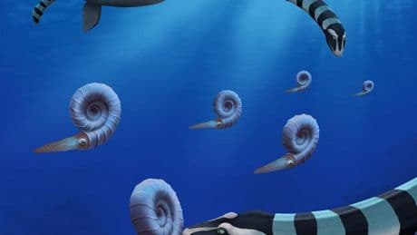 Un cuello gigante 'de cebra y dientes como una trituradora: así era el extraño monstruo marino que han descubierto