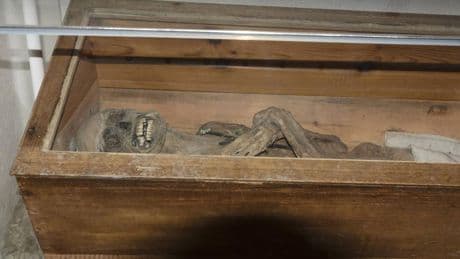 Österreichische Mumie: Forscher lösen Rätsel um "luftg’selchten Pfarrer"