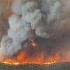 „Betet für Regen“: Waldbrand in Kanada gerät außer Kontrolle – Lage „so schlimm wie nie zuvor“