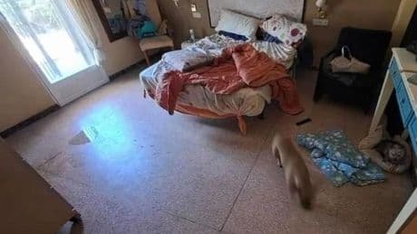 La muerte de un joven con parálisis cerebral destapa un negocio ilegal de cuidados a personas con discapacidad en Elche