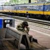 Treinverkeer ten zuiden van Rotterdam nog steeds verstoord na stroomstoring
