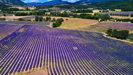 Einmal im Leben: Über der Provence