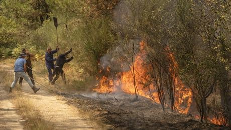 Entre incendios y apagones