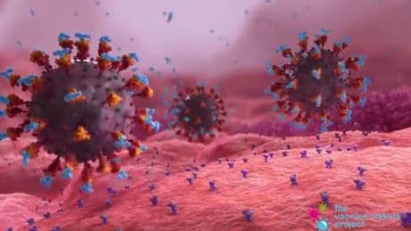 Vaccini, dallo stop Usa ai «no vax»: così gli eredi di Piero Angela rimettono al centro la scienza