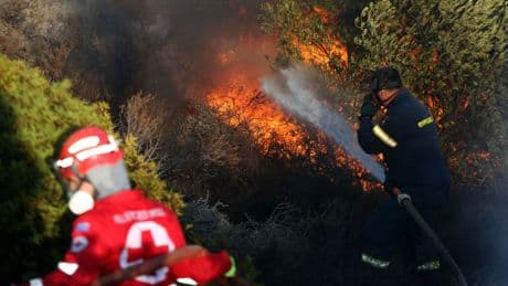 Al menos un muerto en un gran incendio fuera de control en el sureste de Atenas