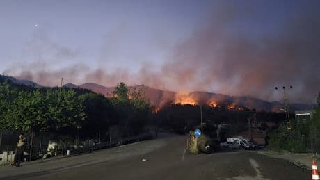 Hatay'daki orman yangınıyla ilgili 1 zanlı gözaltına alındı