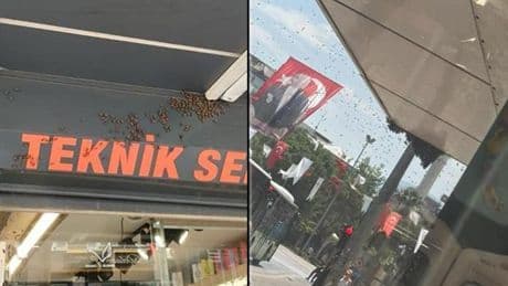 Denizli'de şehir merkezine binlercesi geldi! Esnaf dükkan kapattı