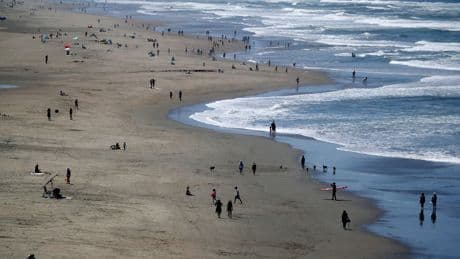 Bay Area man dies trying to save dog from surf on beach