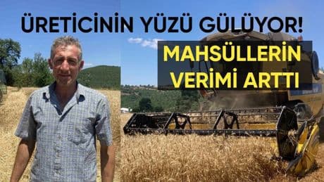 Kar ve yağmur en çok onlara yaradı! Mahsüllerin verimi arttı: O ilde üreticilerin yüzü güldü