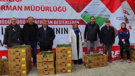 Düzce'de fide dağıtımı yapıldı