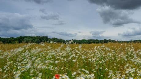 Wettervorhersage: Wechselhaftes Wetter bis zur Wochenmitte