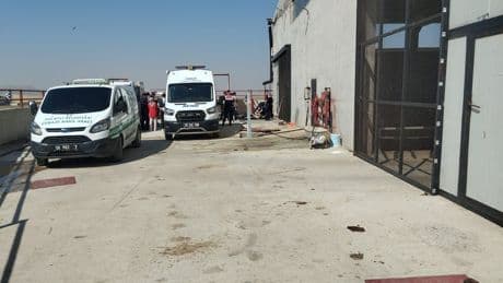 Ankara'da besi çiftliğinde metan gazı zehirlenmesi: Afganistan uyruklu 2 işçi yaşamını yitirdi