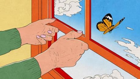 Hospiz: Was ich gern noch gemacht hätte