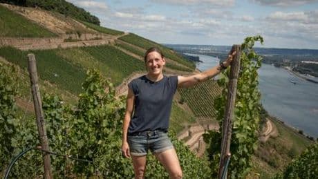 Klimawandel: So hat der Wein noch eine Zukunft in Deutschland