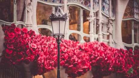 Seis originales planes para disfrutar Sant Jordi en Barcelona