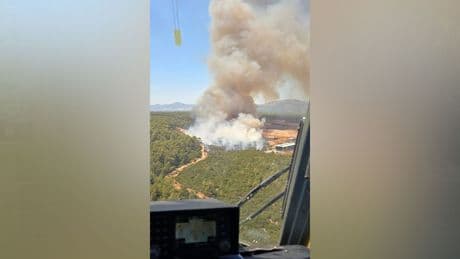 Bu kez Antalya'nın ormanları yanıyor