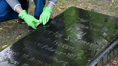 Judentum: Putzaktion in Rostocker Park zur Pflege jüdischen Erbes