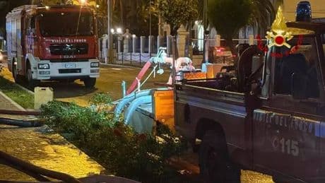 Un albero centrato da un fulmine cade su un'auto: un morto e tre feriti gravi