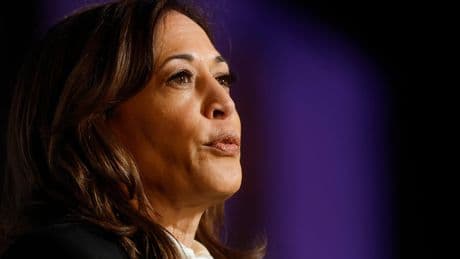 Kamala Harris and Doug Emhoff attend Met Gala but skip red carpet