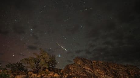 Blame it on the moon. This year's Perseids meteors won't be as visible at their peak