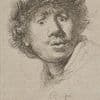 Amerikaanse historicus vraagt zich af: was Rembrandt queer?