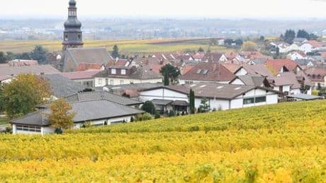Friedrich Merz: Kanzler lädt Donald Trump zu Besuch in pfälzische Heimatort Kallstadt ein