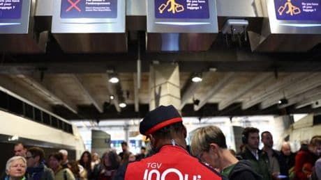 A la SNCF, un nouveau protocole pour les animaux présents sur les rails, deux ans après l’écrasement d’un chat réfugié sous un TGV