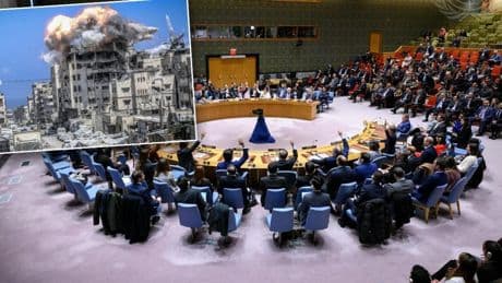 BMGK: Gazze insanlığın çöküşüdür 'Uluslararası toplum derhal harekete geçmeli'
