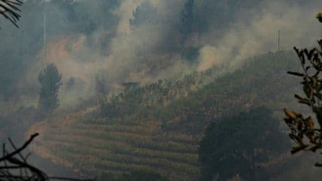 El fuego vuelve a golpear a Ourense: el incendio iniciado en Zamora traspasa la frontera