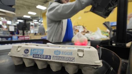 Retail egg prices fall for first time in months — but remain stubbornly close to record highs