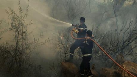 Maroc : le vaste incendie de forêt dans le nord-est du pays est « circonscrit »