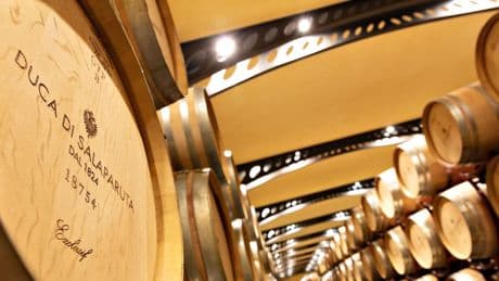 Il vino siciliano si reinventa: nuovi modelli per vincere sui mercati