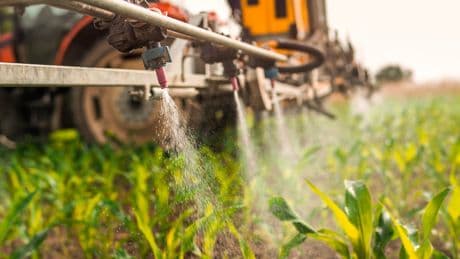 Scientists analysed pesticide use across Europe. Here’s what they found